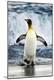 Premium Photographic Print