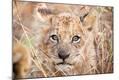 Photographic Print