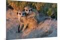 Photographic Print