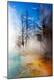 Premium Photographic Print
