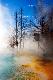 Premium Photographic Print