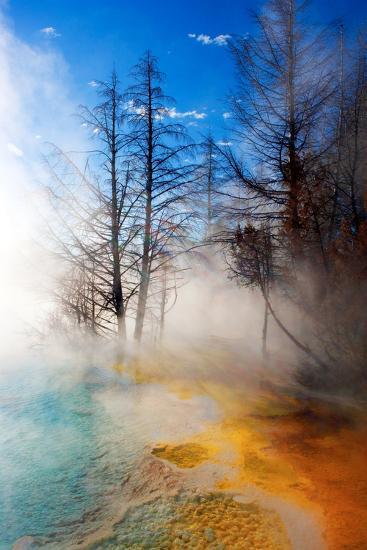 Photographic Print, , large