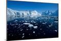 Premium Photographic Print