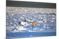 Photographic Print