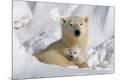 Premium Photographic Print
