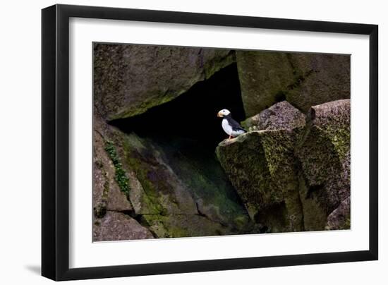 Photographic Print, , large