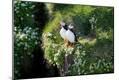 Premium Photographic Print