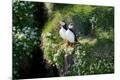 Premium Photographic Print