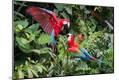 Premium Photographic Print