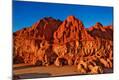 Photographic Print