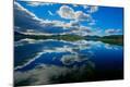 Photographic Print