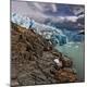 Premium Photographic Print