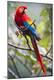 Premium Photographic Print