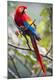 Premium Photographic Print