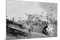 Photographic Print