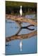 Premium Photographic Print