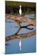 Premium Photographic Print