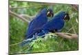 Premium Photographic Print