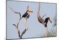 Premium Photographic Print