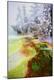 Premium Photographic Print
