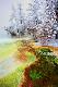 Premium Photographic Print