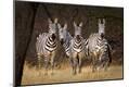 Premium Photographic Print
