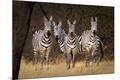 Premium Photographic Print