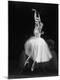 Premium Photographic Print