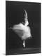 Premium Photographic Print