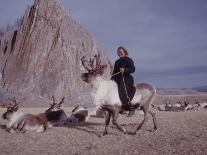 Woman Riding One of Her Reindeer in Outer Mongolia-Howard Sochurek-Photographic Print