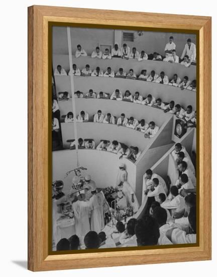 Howard University Medical Students Observing Gall Bladder Operation in Freedman's Hospital-Alfred Eisenstaedt-Framed Premier Image Canvas