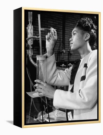 Howard University Student Working in Laboratory-Alfred Eisenstaedt-Framed Premier Image Canvas