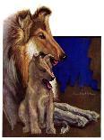 "Mother Collie and Pup," Saturday Evening Post Cover, July 15, 1933-Howard Van Dyck-Framed Giclee Print