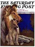 "Mother Collie and Pup," Saturday Evening Post Cover, July 15, 1933-Howard Van Dyck-Giclee Print