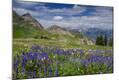 Photographic Print