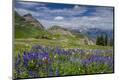 Photographic Print