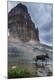 Photographic Print