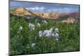 Photographic Print