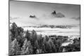 Photographic Print