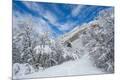 Premium Photographic Print