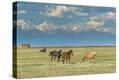 Stretched Canvas Print