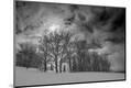 Photographic Print