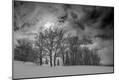 Photographic Print