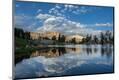 Photographic Print