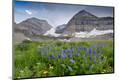 Photographic Print
