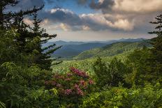 Mountain Laurel, Sunrise, Beacon Heights, North Carolina-Howie Garber-Photographic Print