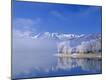 Photographic Print
