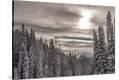 Stretched Canvas Print