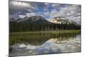Photographic Print
