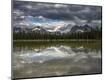 Photographic Print